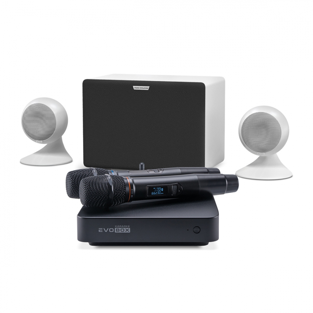 караоке-комплект EVOBOX Classic + EvoSound Sphere 2.1 в Пятигорске