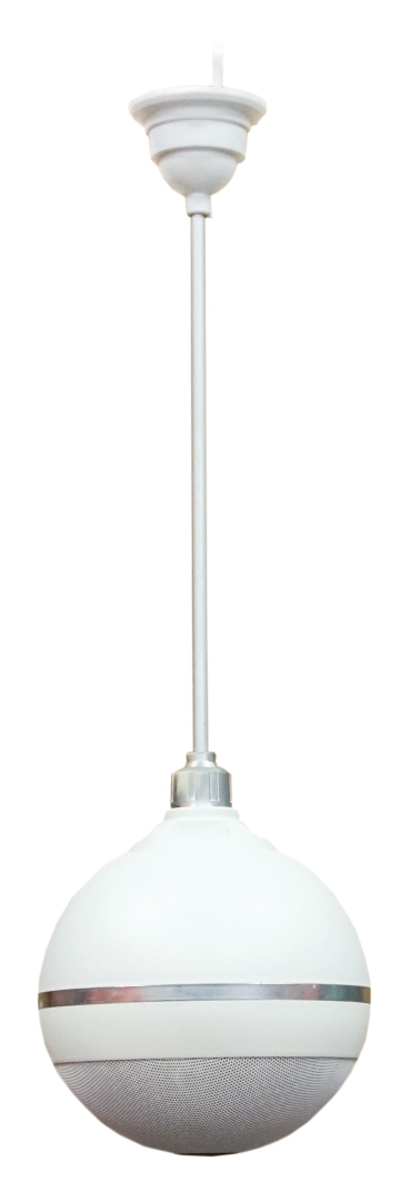 SVS Audiotechnik BWS-603 Громкоговоритель подвесной потолочный в Пятигорске