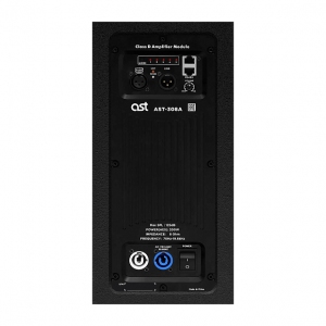 Активная акустическая система AST-308A в Пятигорске