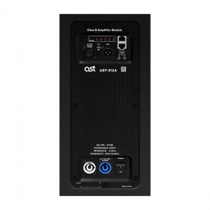 Активная акустическая система AST-312A в Пятигорске