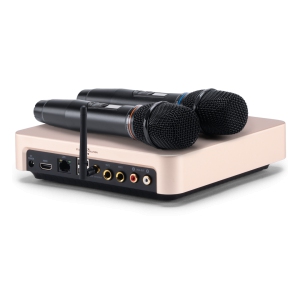 EVOBOX Classic караоке-система для дома в Пятигорске