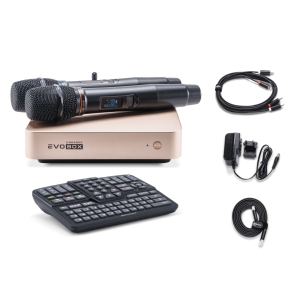 EVOBOX Classic караоке-система для дома в Пятигорске
